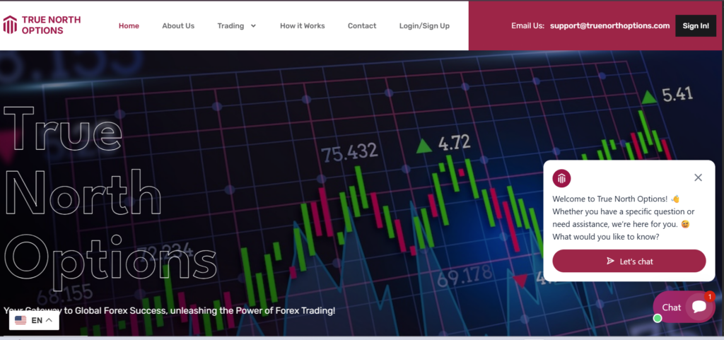 Truenorthoptions.com
